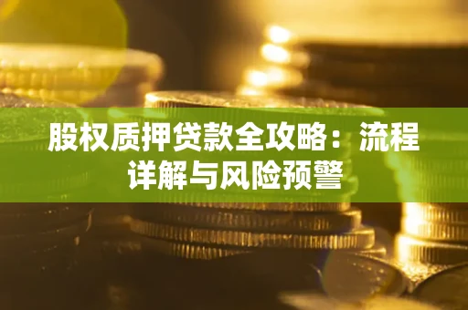 武汉股权质押贷款全攻略：流程详解与风险预警