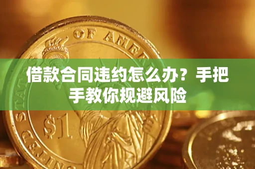 武汉借款合同违约怎么办？手把手教你规避风险