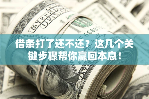 武汉借条打了还不还？这几个关键步骤帮你赢回本息！