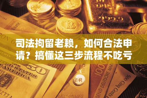 武汉司法拘留老赖，如何合法申请？搞懂这三步流程不吃亏！