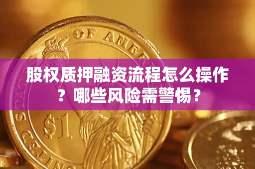 武汉股权质押融资流程怎么操作？哪些风险需警惕？