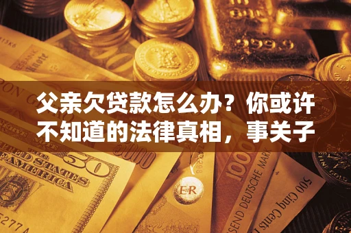 武汉父亲欠贷款怎么办？你或许不知道的法律真相，事关子女未来