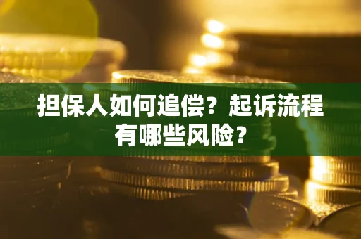武汉担保人如何追偿？起诉流程有哪些风险？