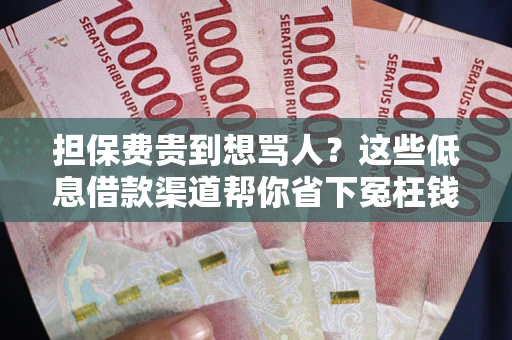 武汉担保费贵到想骂人？这些低息借款渠道帮你省下冤枉钱