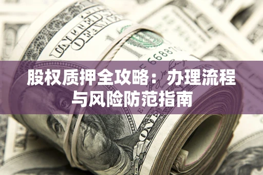 武汉股权质押全攻略：办理流程与风险防范指南