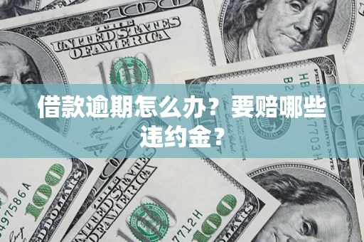 武汉借款逾期怎么办？要赔哪些违约金？